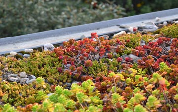 the cost of Adbolton green roof installation