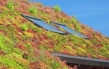Adbolton living roof systems